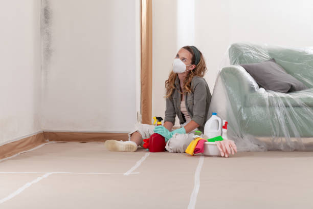Reliable Mold Testing contractor in Clackamas, OR by WQB Mold Removal