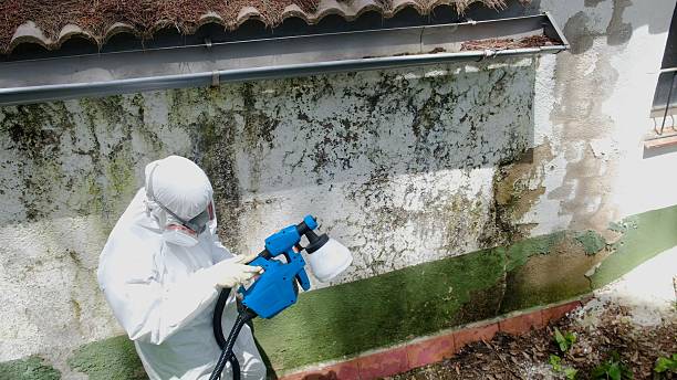 Top rated local Mold Testing specialists in Clackamas, OR